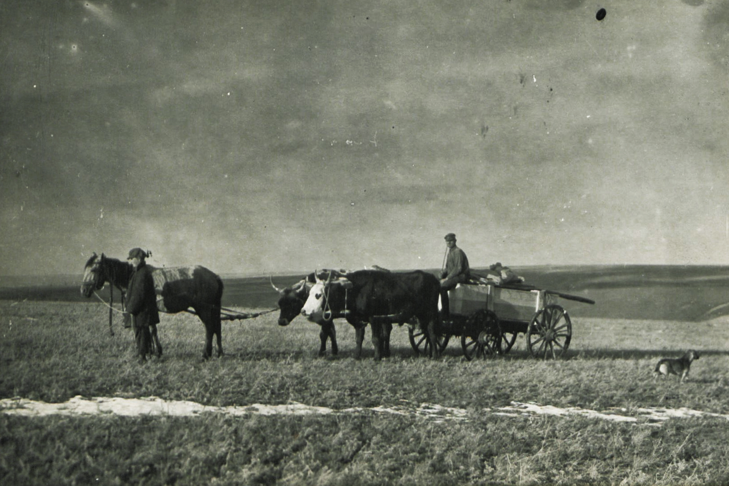 Serhii Hamchenko’s Archive